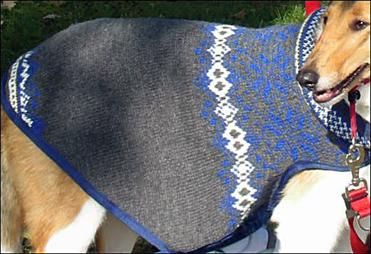 One of the Can-Do Canines sweaters.