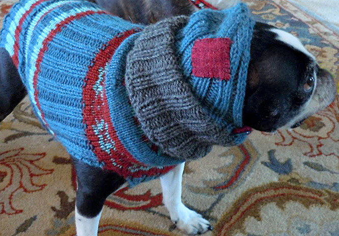 Knitter Anessa Andersland personalized the colorway on Paul's pattern for Emmit's sweater and added a balaclava.