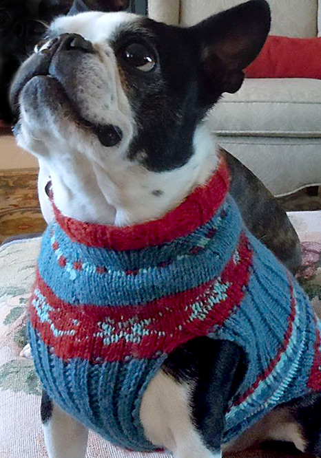 Anessa Andersland knitted this sweater for Emmit using Paul's pattern and her color choices.
