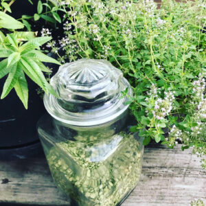 A jar of green split peas, surrounded by herbs