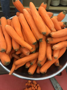 A bowl full of peeled carrots.