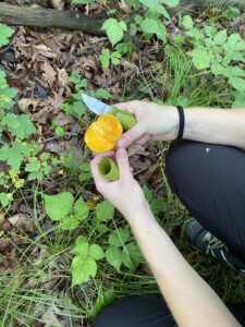 foraging for mushroom with knife